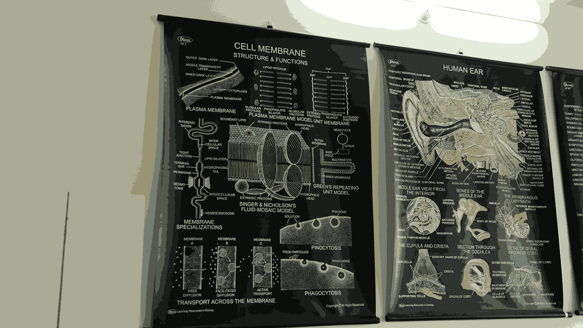 Pragjyotishpur University Guwahati Pharmacology lab photo 22